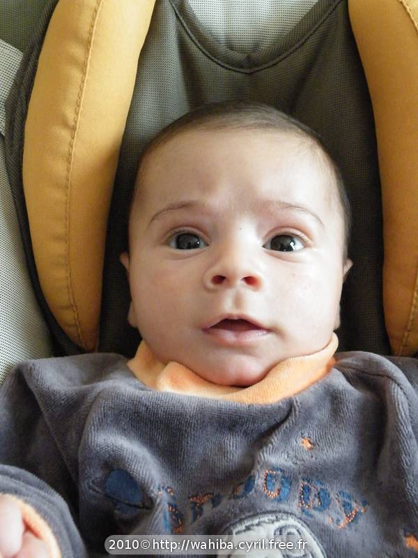2010-03-19_Noah-03.jpg
